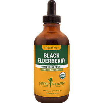 Black Elderberry M3580