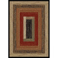 Multi Color Area Rug C578