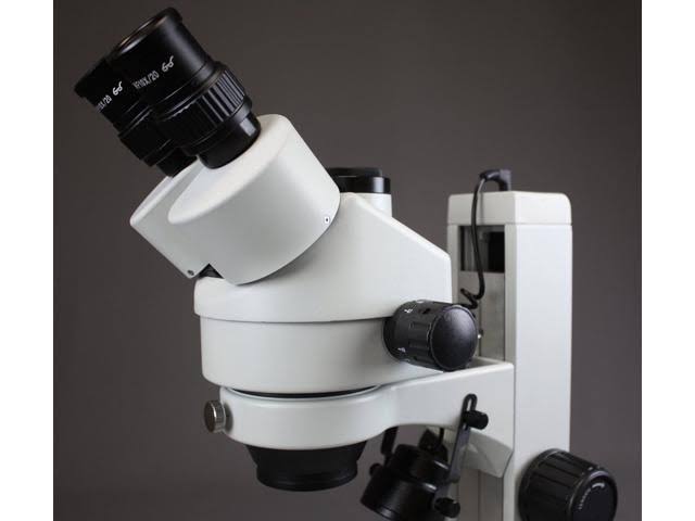 Trinocular Zoom Stereo Microscope, 10x Widefield Eyepiece, 7X-45X Magnification D804