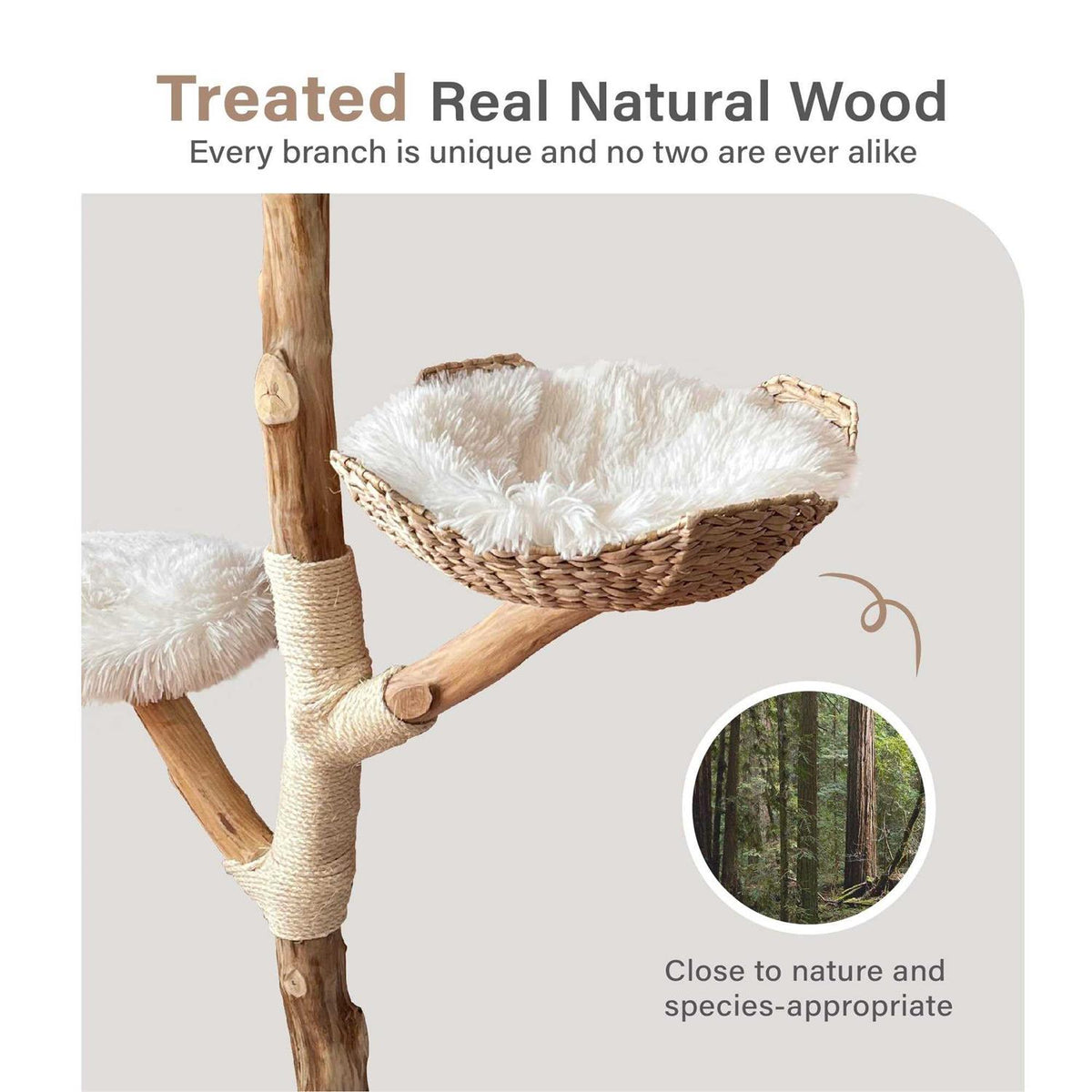 Modern Wooden Cat Tree Tower C905