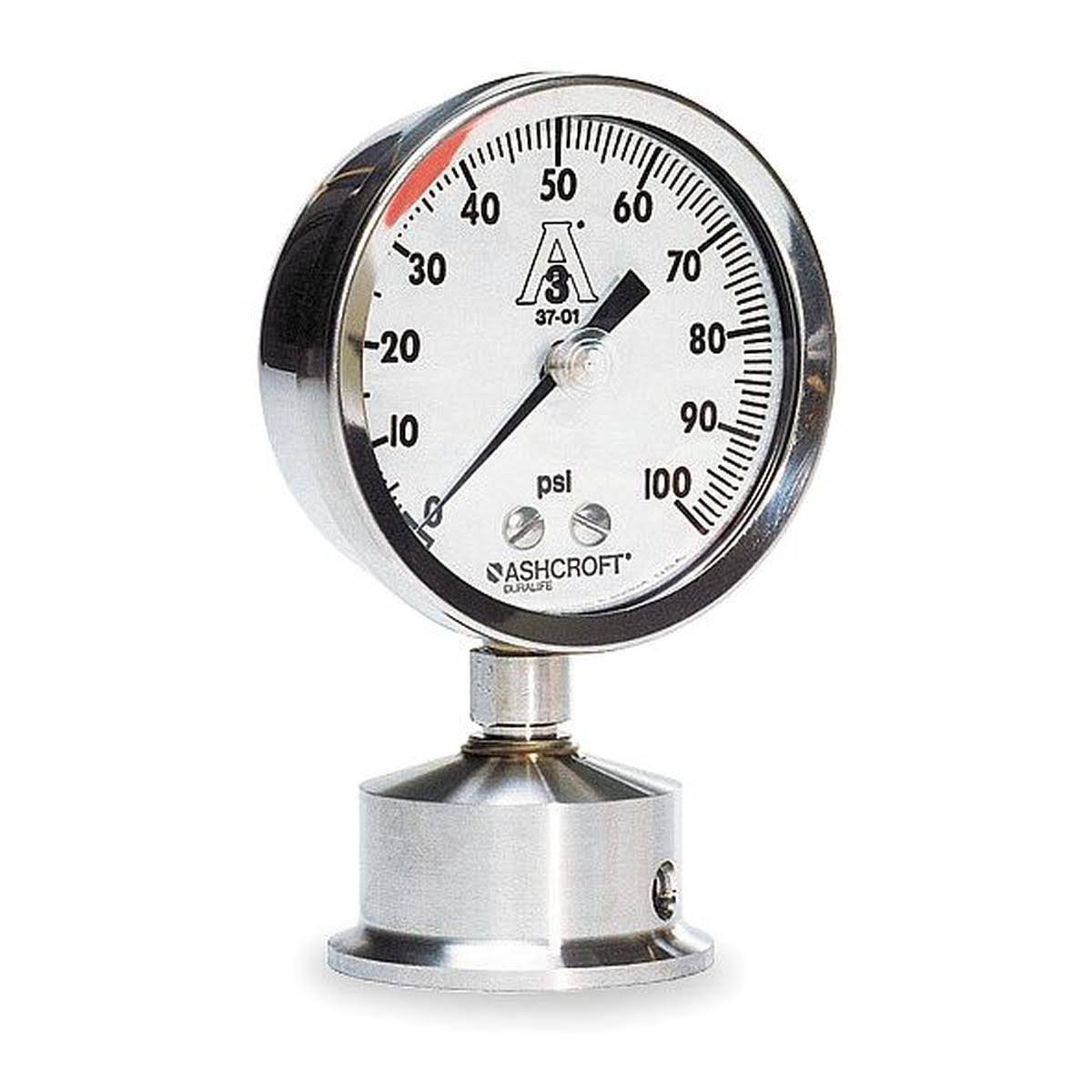 0 to 100 Psi Pressure Gauge E201