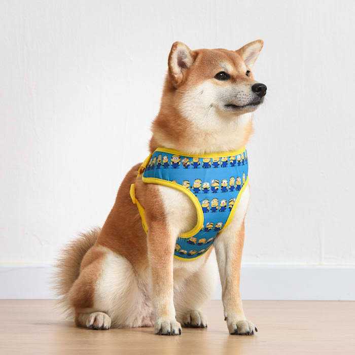 Blue Mesh No-Pull Dog Harness Q3770