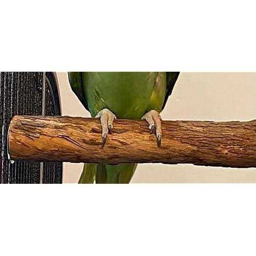 Hardwood Bird Perch R561570