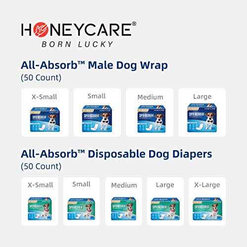 Male Dog Wrap X73584