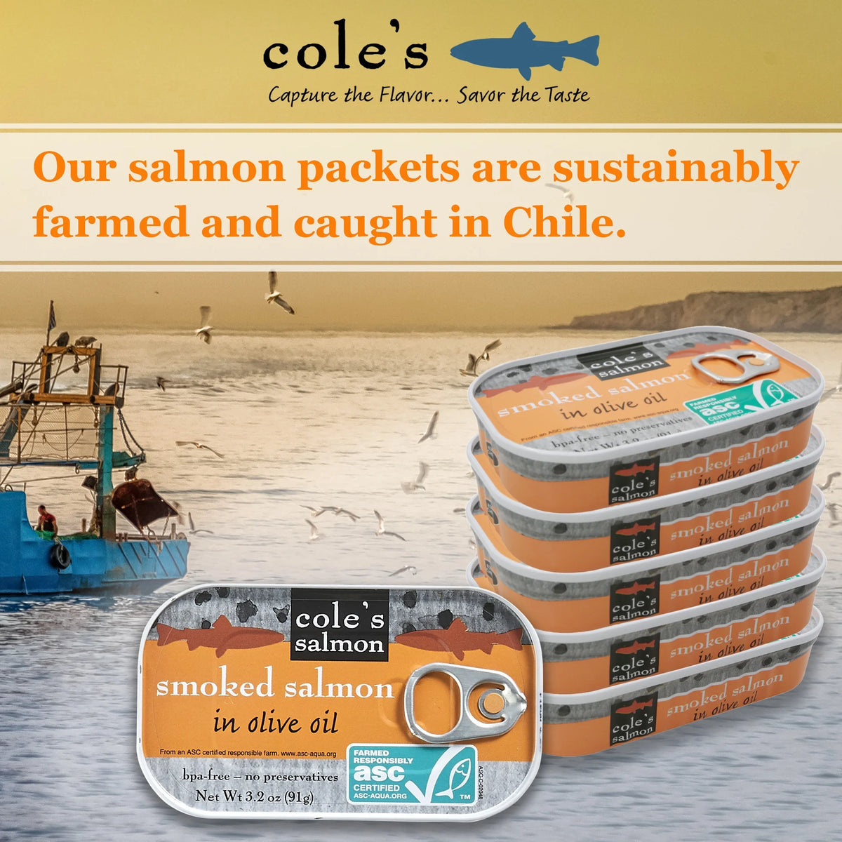 Canned Smoked Salmon in Extra Virgin Olive Oil, 3.2 oz (5 Pack) P711739