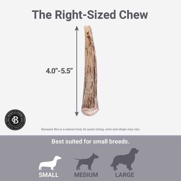 Deer Antler Dog Chew I636