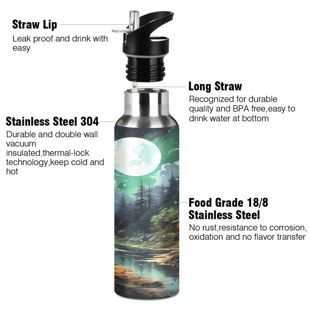 Stainless Steel Insulated Water Bottle with Straw Lid Z2667