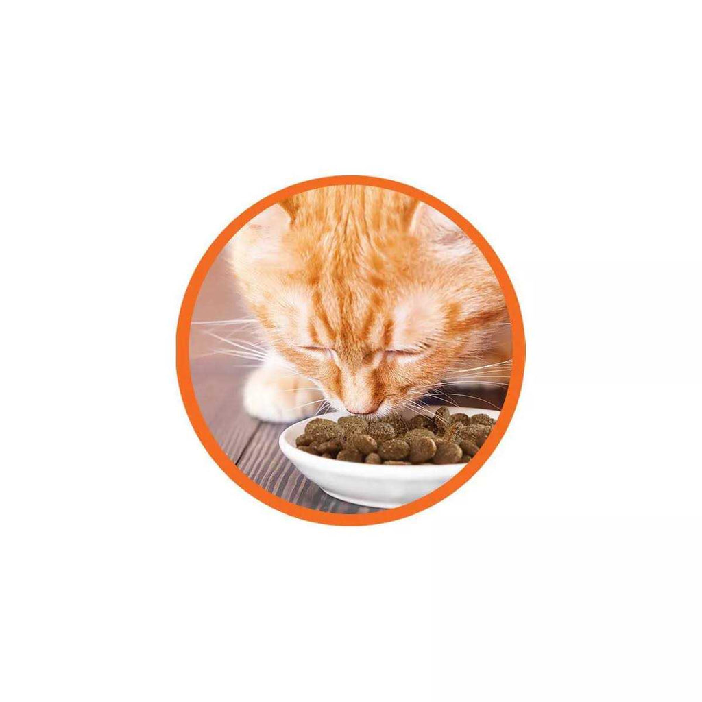 High Protein Chicken & Salmon Dry Cat Food Z26332