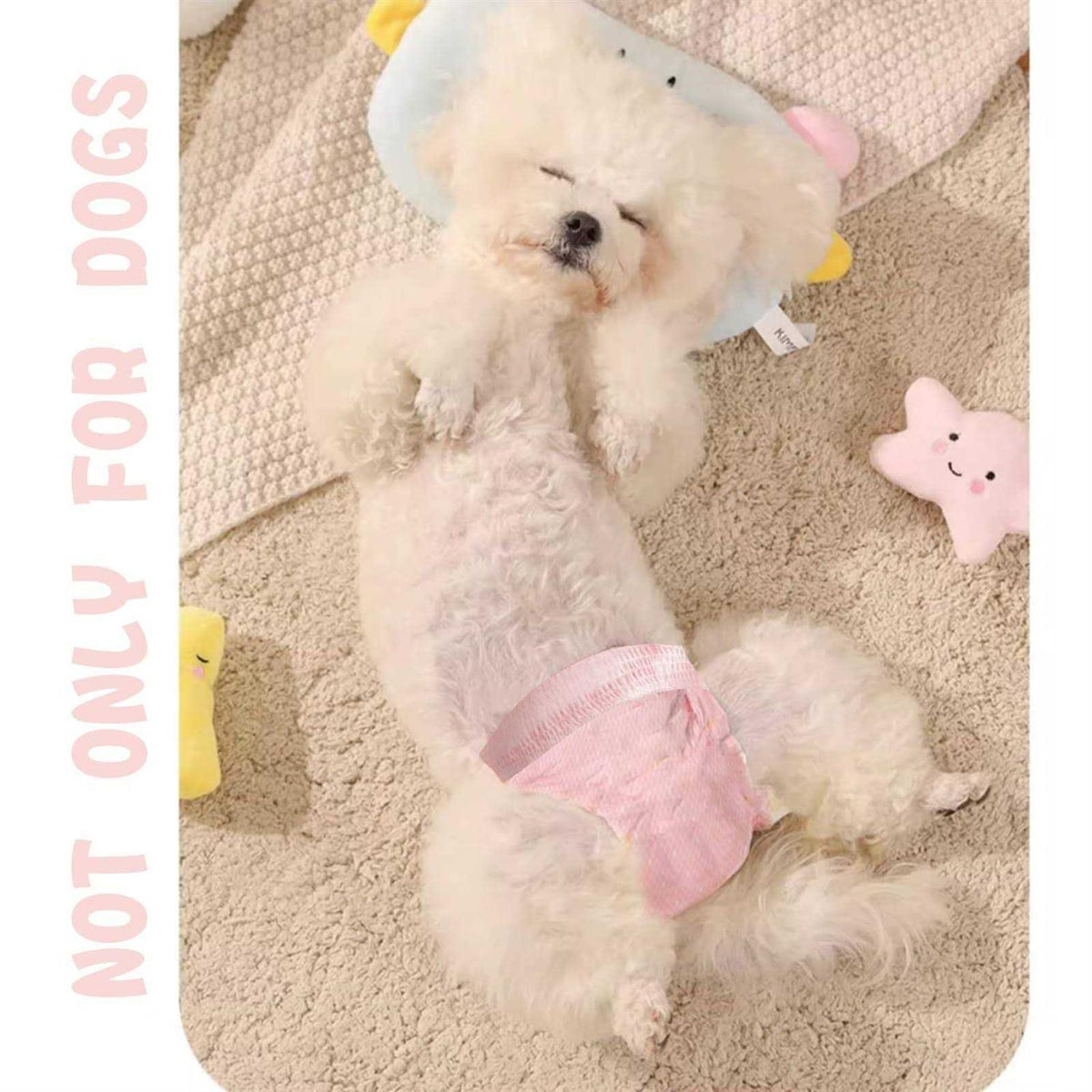 Disposable Dog Diapers Female, 10 Pcs Stretchy R4870