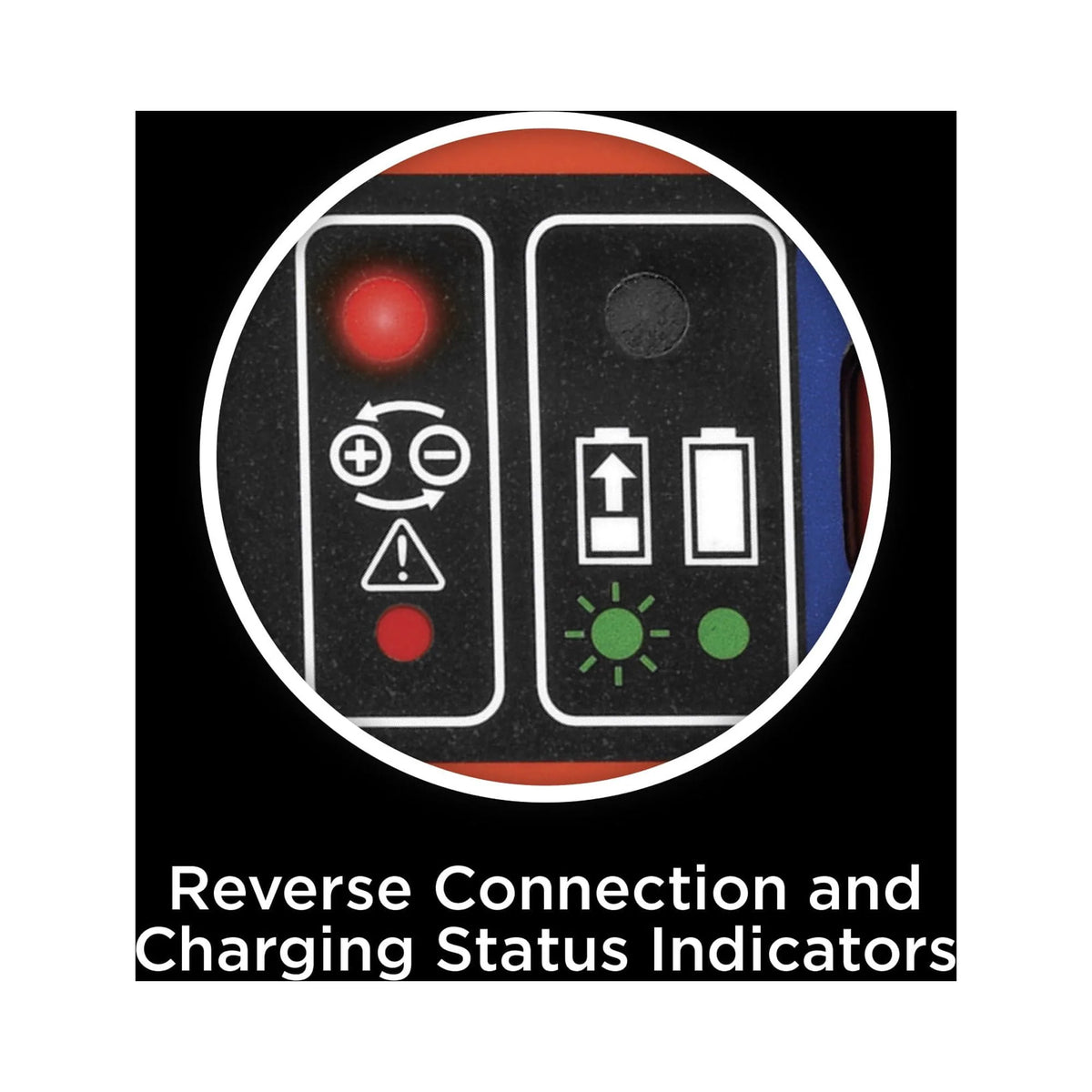 6V and 12V Battery Charger/Maintainer H966037