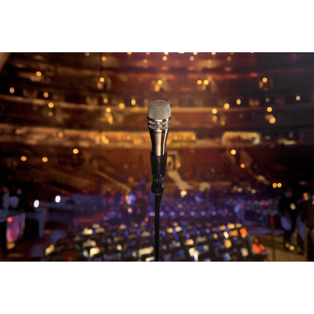 Nickel Dynamic Handheld Vocal Microphone I910403