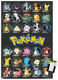 Pokémon Wall Poster 22.375" x 34" Unframed J490