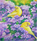 Yellow Parrots Magnetic Dishwasher Sticker 23x26in F489