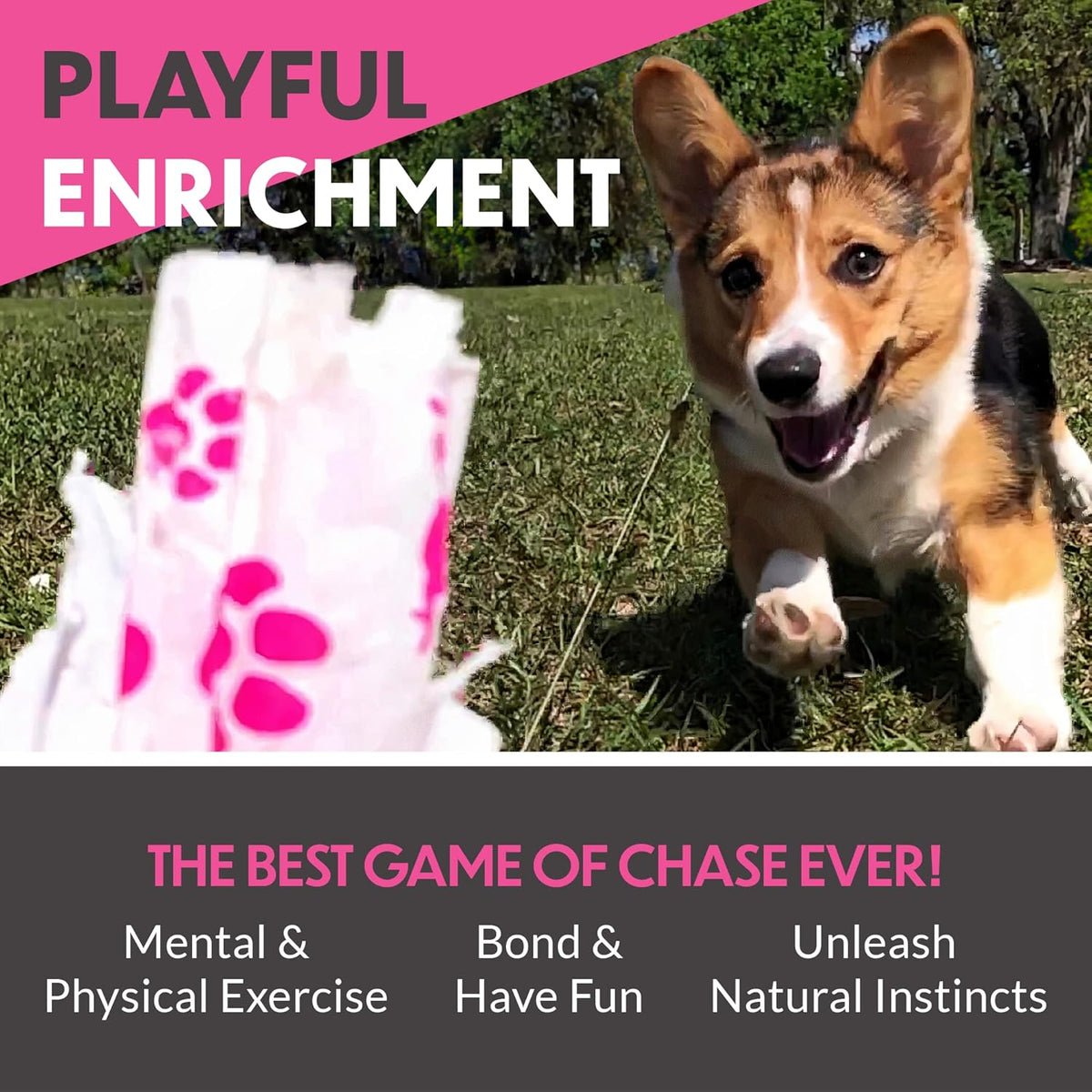 Remote-Control Capture-The-Flag Toy for Dogs W973333