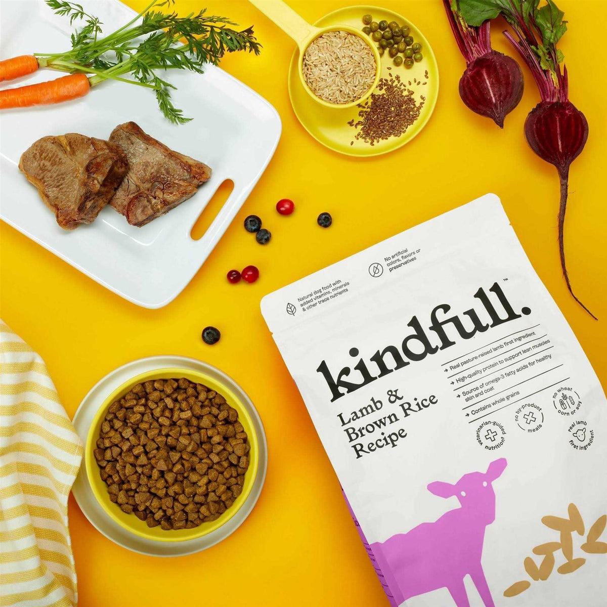 Lamb & Brown Rice Recipe Dry Dog Food W747731