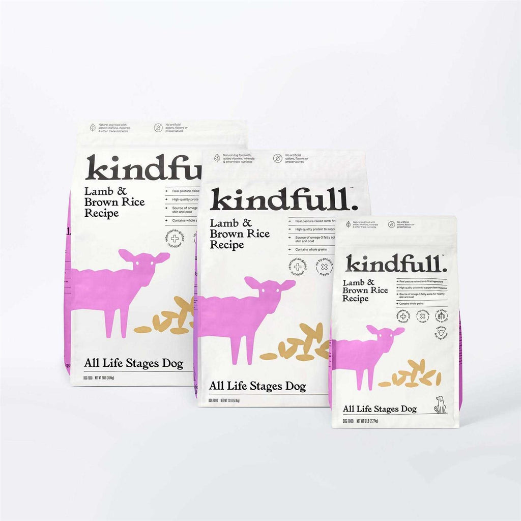 Lamb & Brown Rice Recipe Dry Dog Food W747731