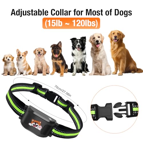 Wireless Dog Fence & Training Collar, White J834919