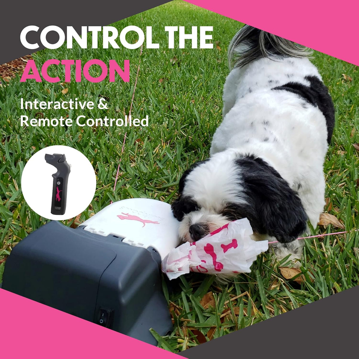 Remote-Control Capture-The-Flag Toy for Dogs W973333