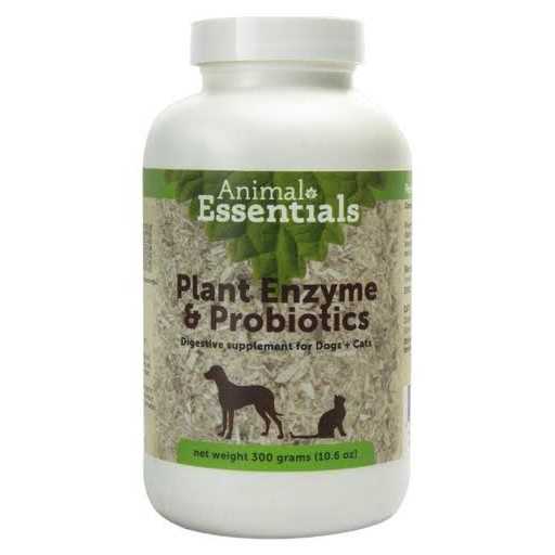 Plant Enzyme & Probiotics X7276