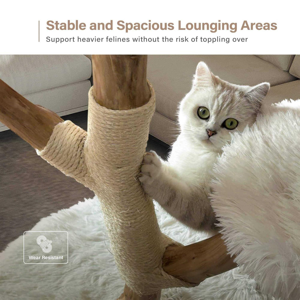 Modern Wooden Cat Tree Tower C905