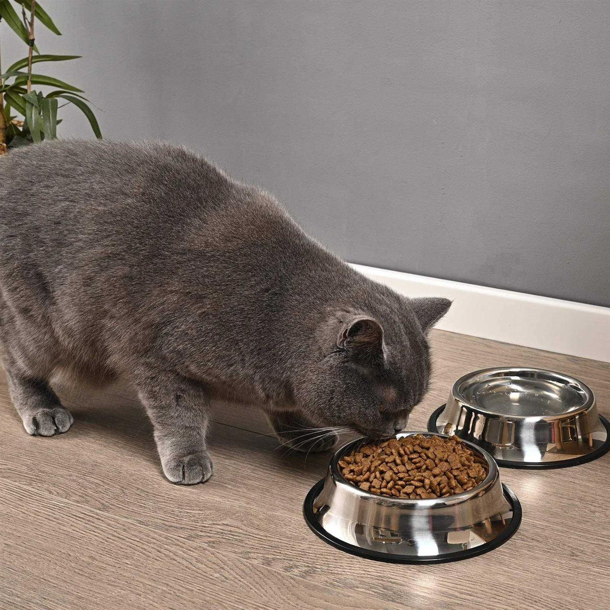 2 Packs Stainless Steel Dog Bowl with Anti-Skid Rubber Base J57650