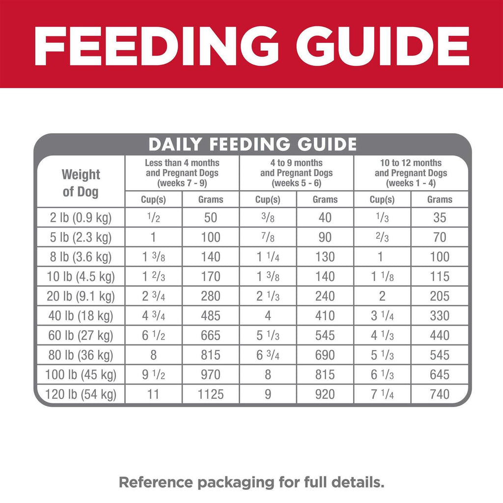 Dry Dog Food R8116