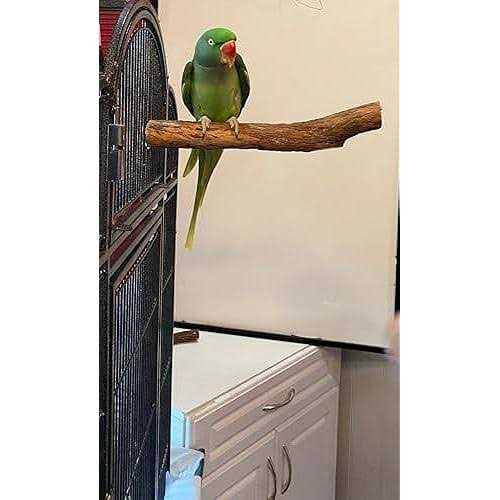 Hardwood Bird Perch R561570