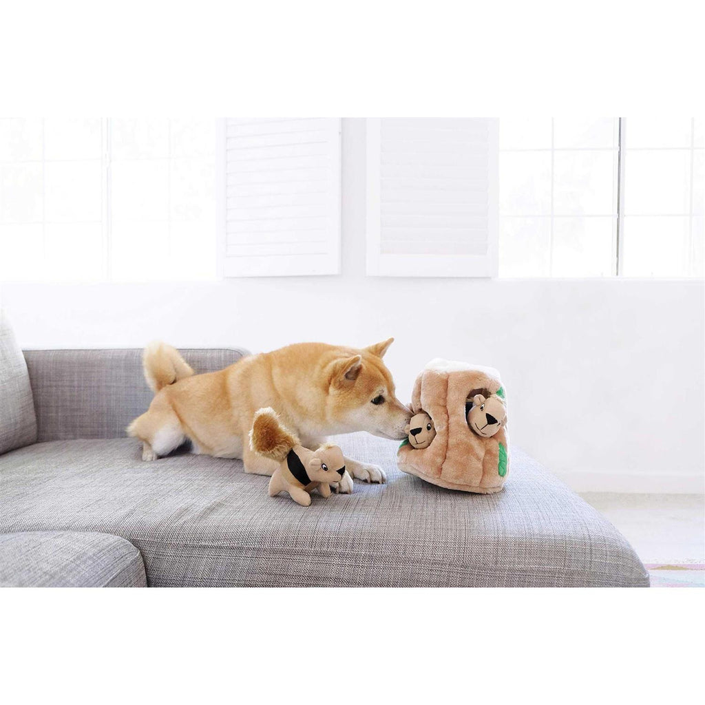 Hide A Squirrel Dog Toy Y2079