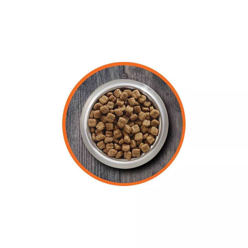 High Protein Chicken & Salmon Dry Cat Food Z26332