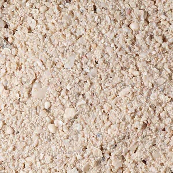 Caribbean Live Aquarium Sand P976