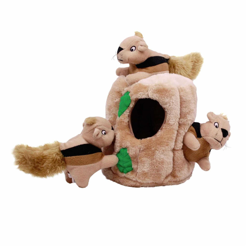 Hide A Squirrel Dog Toy Y2079