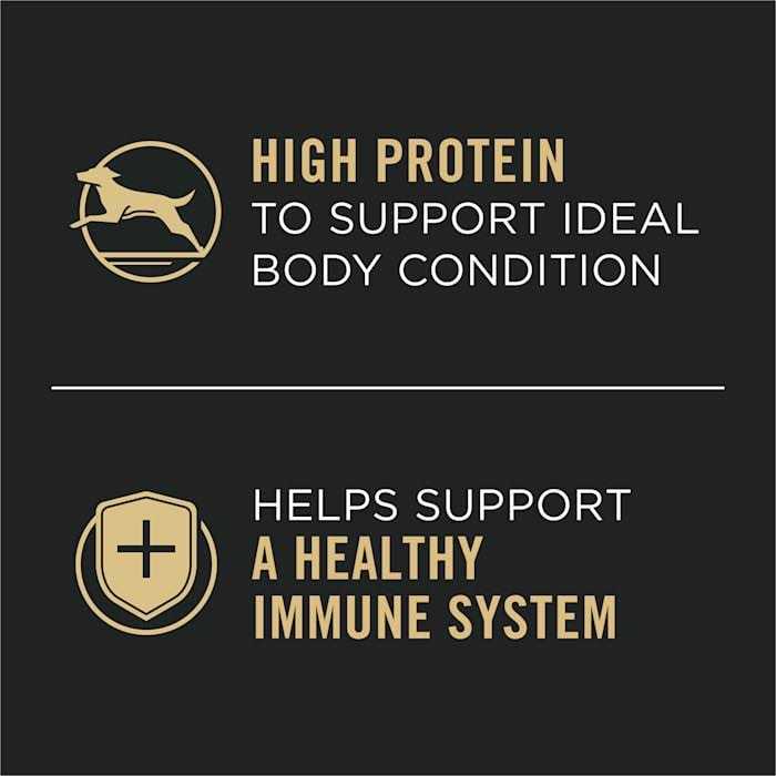High Protein Wet Dog Food Chicken and Carrots Entree G12311