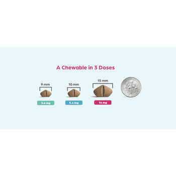 Chewable for Dogs O83276