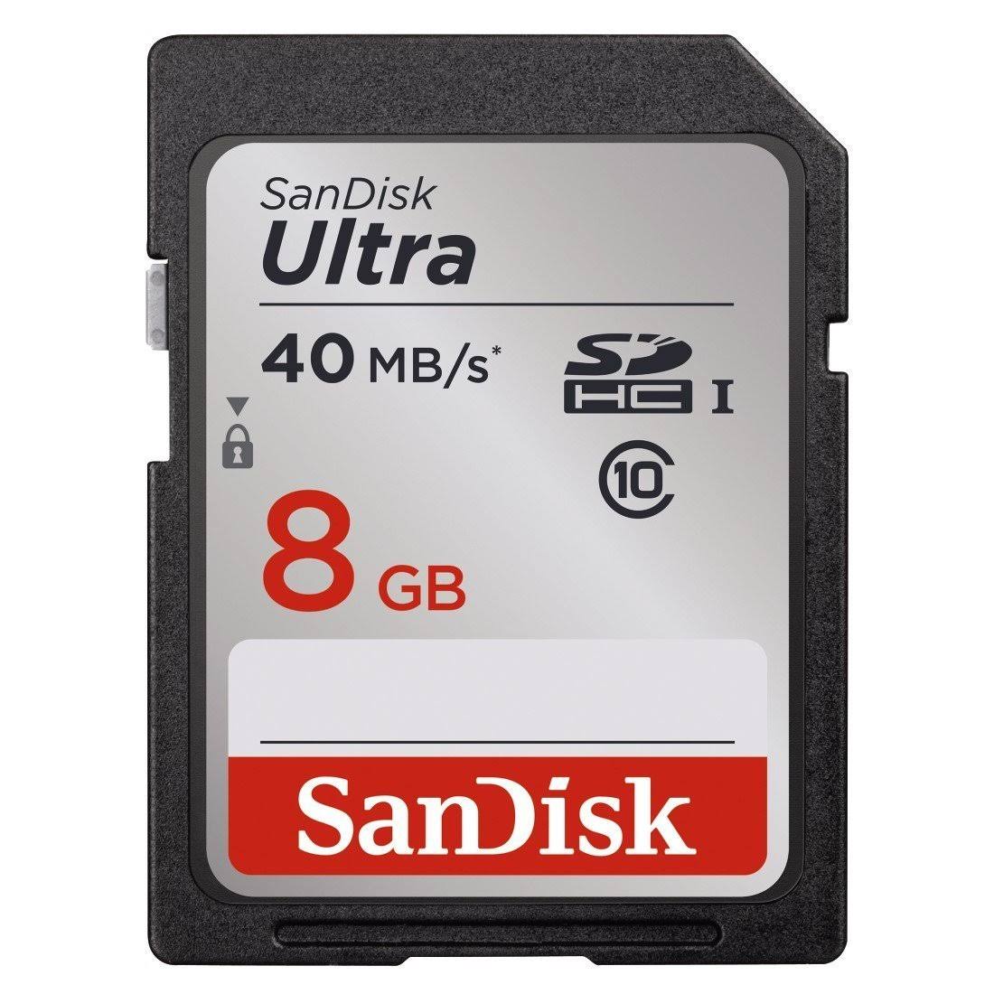 8 GB Class 10 SDHC Memory Card E173