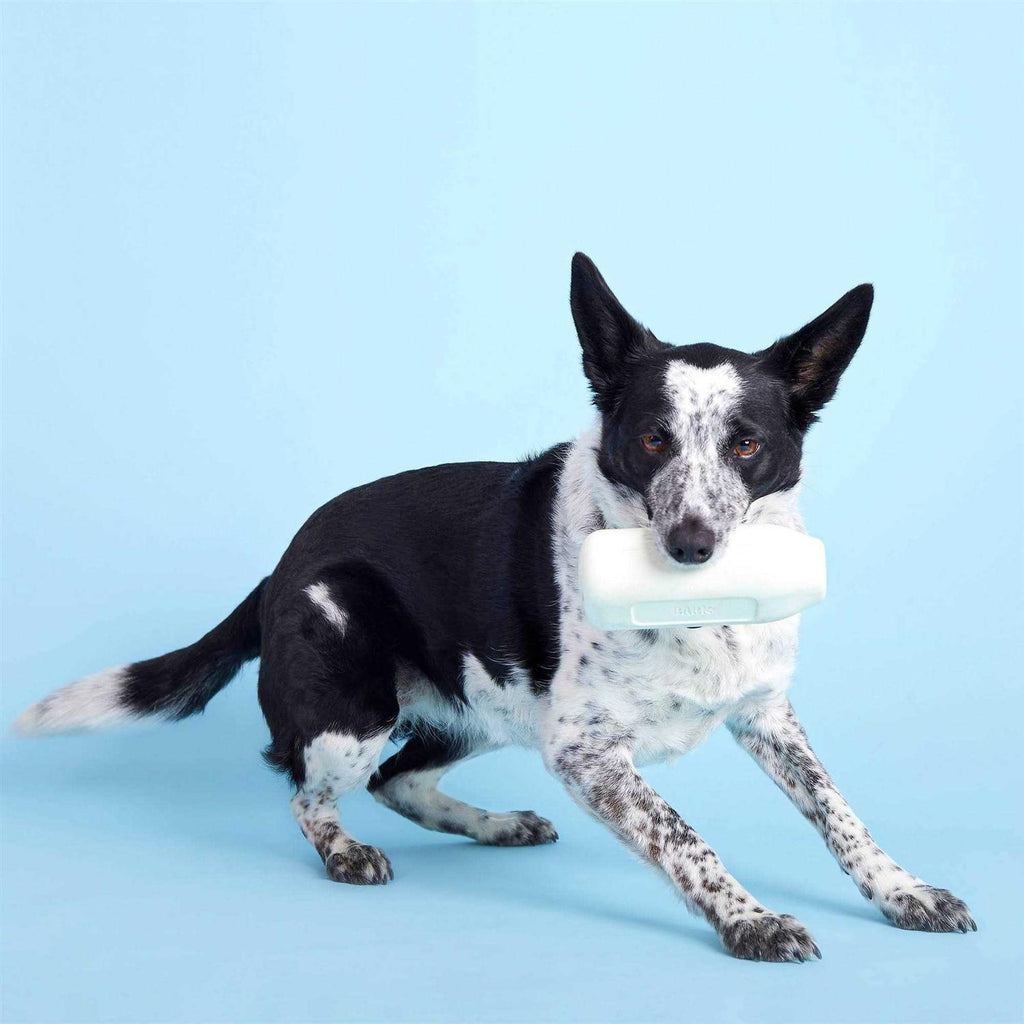 Cow Dog Toy F11390