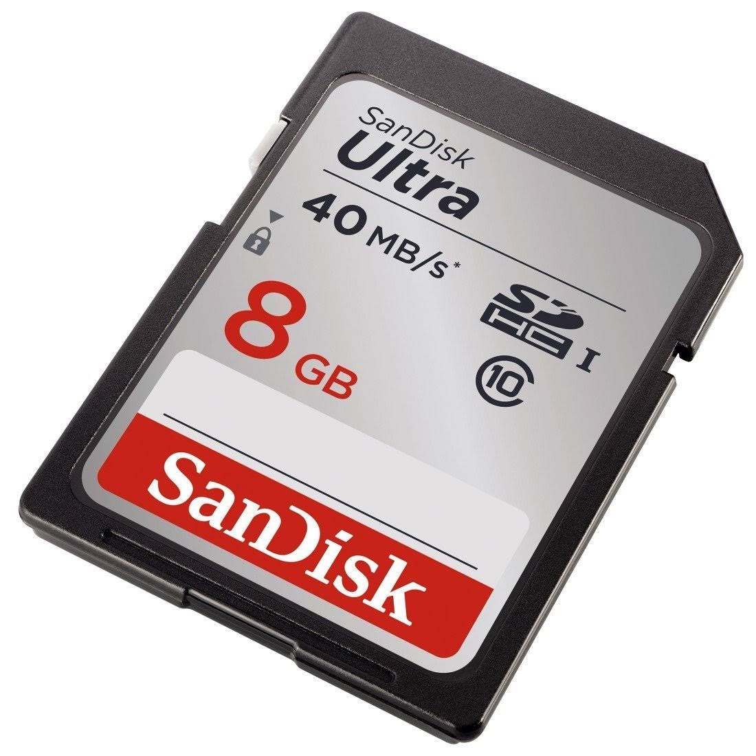 8 GB Class 10 SDHC Memory Card E173