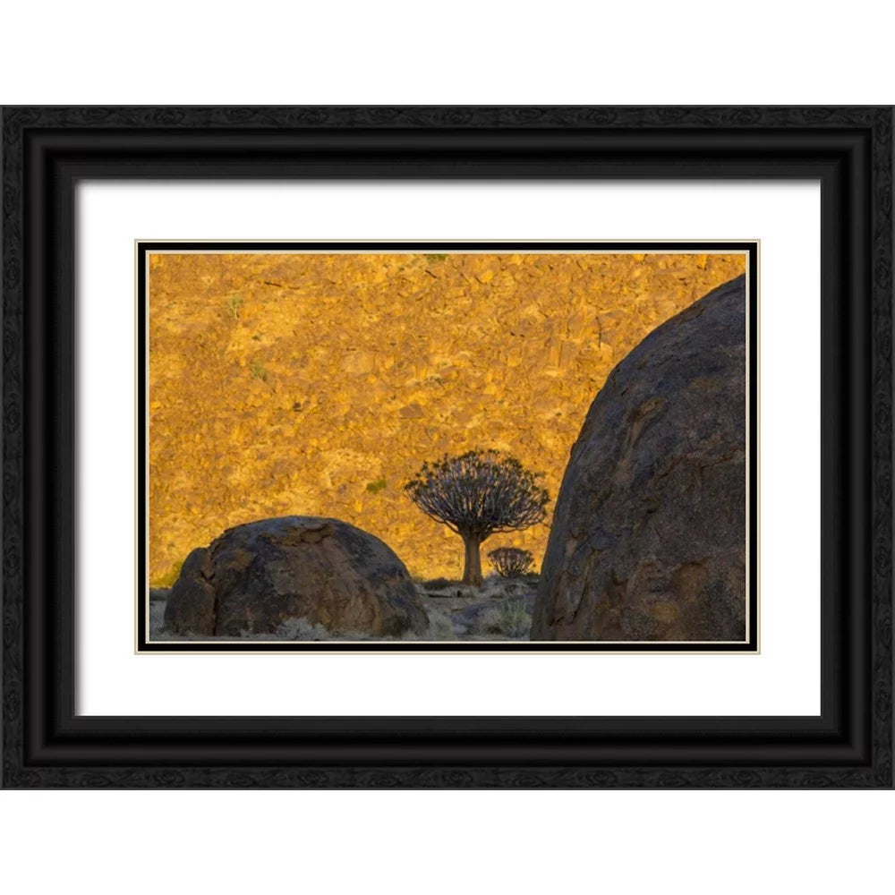 Black Ornate Wood Framed Art Print U1215