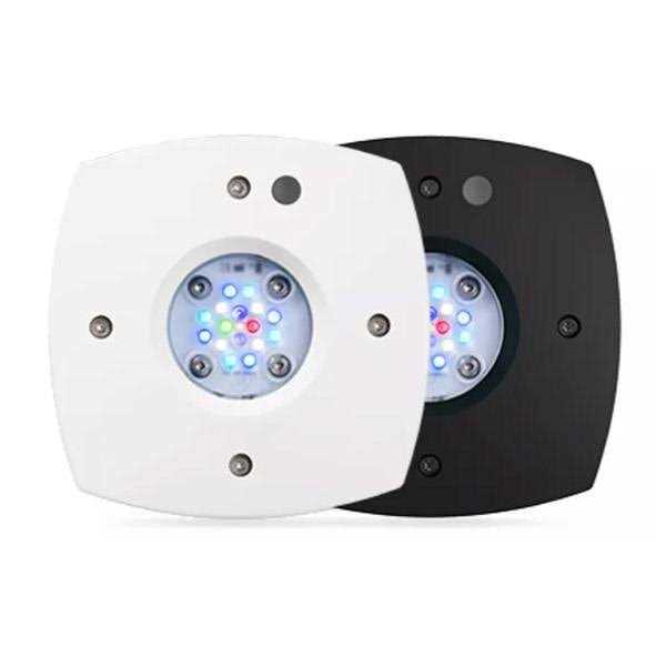Prime 16HD Reef LED Z89705