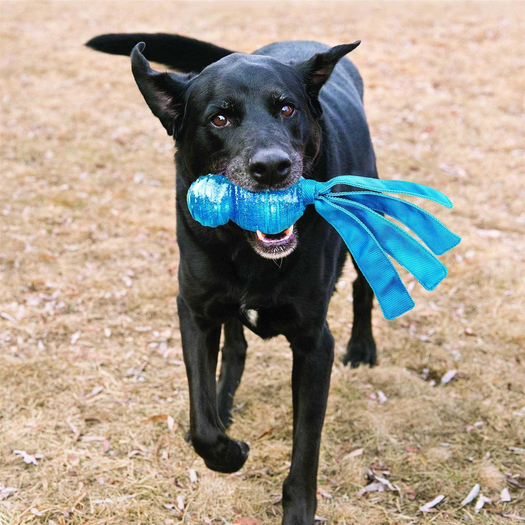 Dog Toy E588279