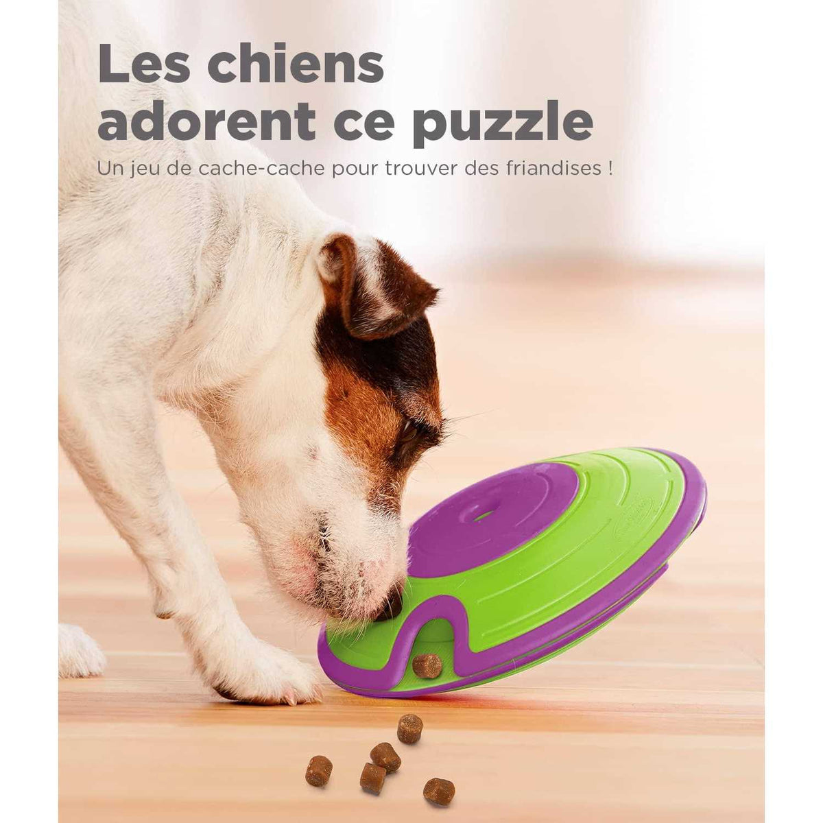Treat Maze Puzzle Dog Toy O95908