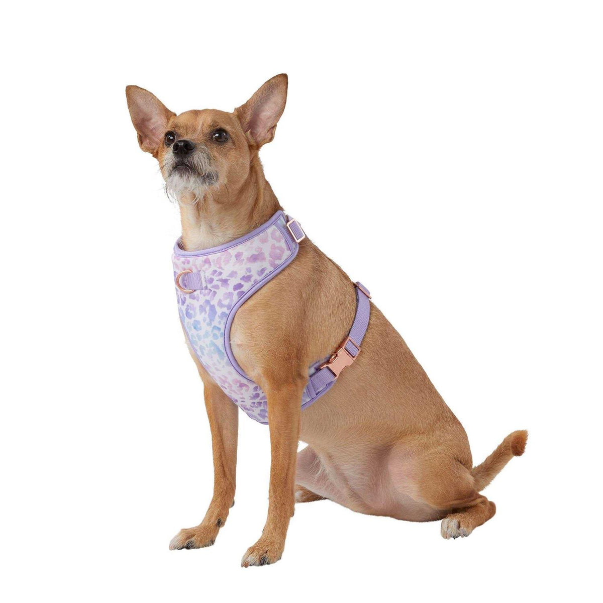 Dog Harness C90958