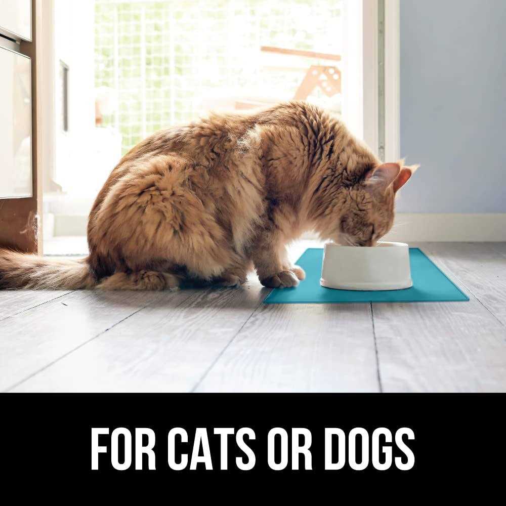 100% Waterproof Raised Edge BPA Free Silicone Pet Feeding Mat G55223