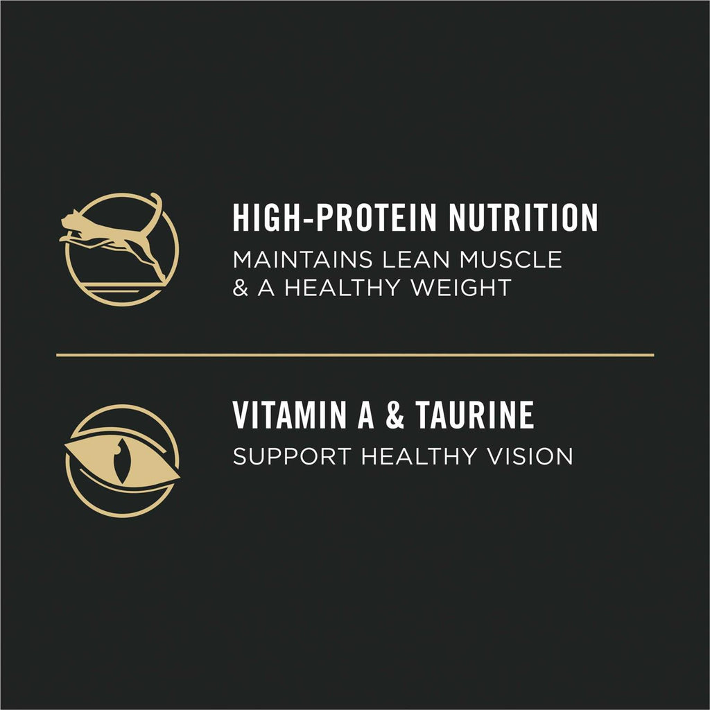 Adult Dry Cat Food N836