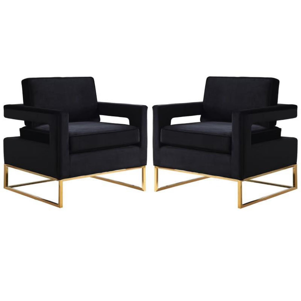 2 Piece Velvet Accent Chair Set in Black and Gold D16191