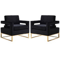 2 Piece Velvet Accent Chair Set in Black and Gold D16191