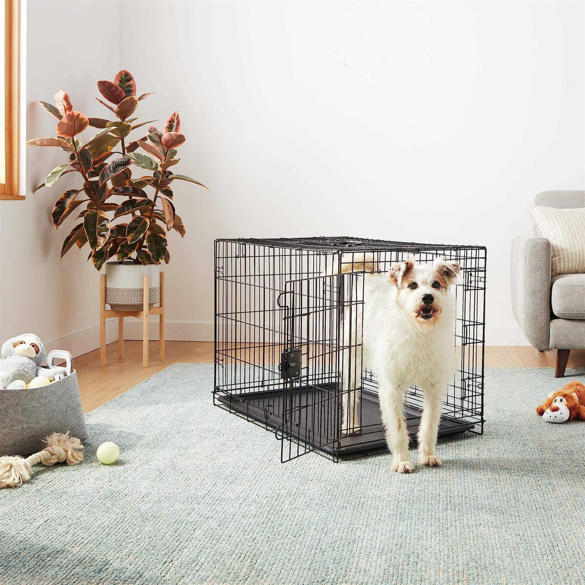 Foldable Metal Wire Dog Crate with Tray Z641531