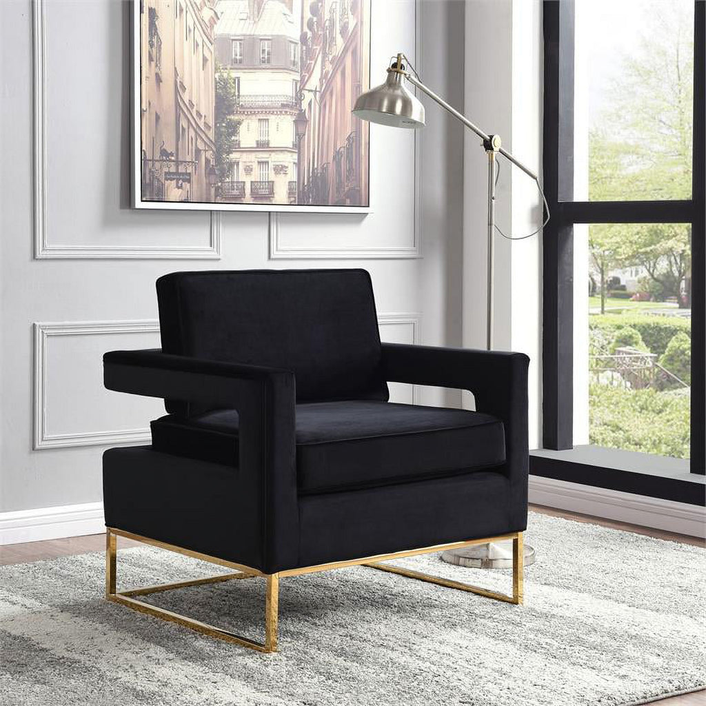 2 Piece Velvet Accent Chair Set in Black and Gold D16191