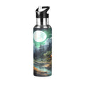 Stainless Steel Insulated Water Bottle with Straw Lid Z2667