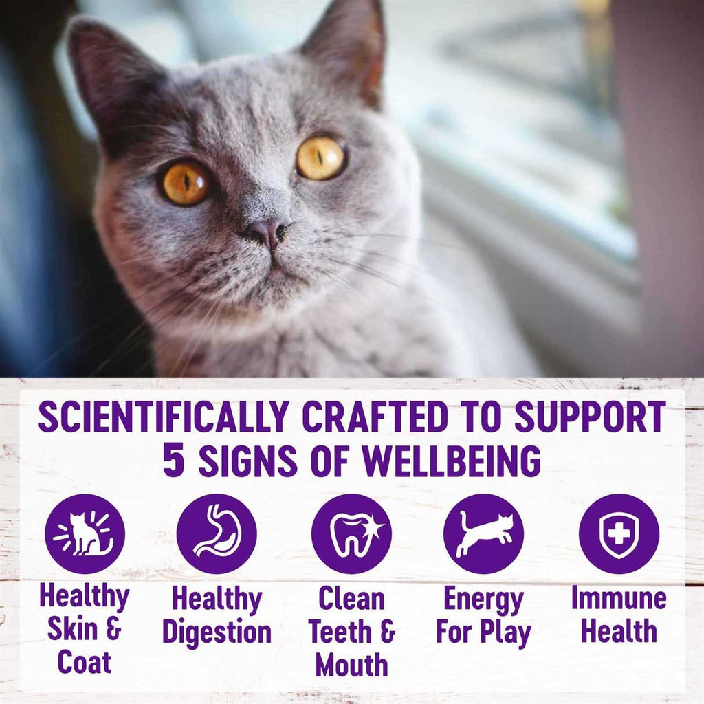 Natural Dry Cat Food C7783