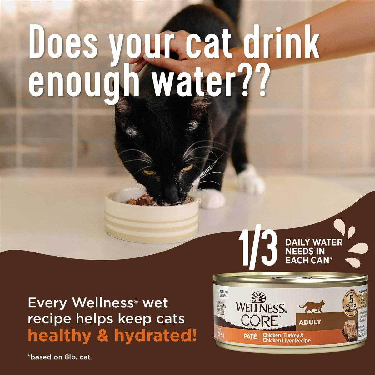 Wet Cat Food Pate Recipe X86567
